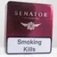 Senator Special Pipe Tobacco – Pipo Tütünü Aromalı