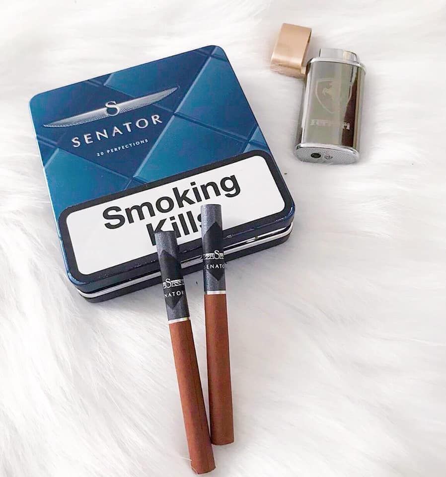 Senator Special Winegrape – Şarap Üzümü Aromalı – Metal Kutu